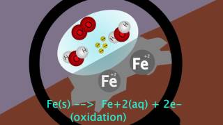 Oxidation Reduction Reaction Animation [upl. by Yram]