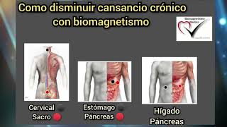 Biomagnetismo l Protocolo para Fatiga Crònica [upl. by Iggie]