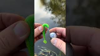 Soft Bait Rigging Technique with Round Jig HeadFishingTips SoftBait JigHead FishingGear [upl. by Norb]