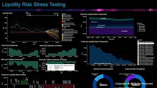 Liquidity Risk Stress Testing [upl. by Bayly]