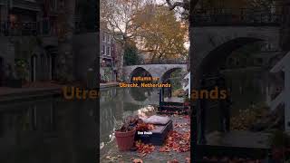 What does Utrecht looks like in autumn 🍂🍁🧡 utrecht netherlands autumnleaf autumncolors [upl. by Drais]