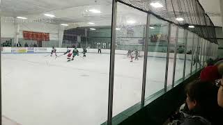 Zionsville Hockey Club Live Stream [upl. by Annaeirb]