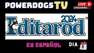 Powerdogs Tv Iditarod 2024 Resumen día 5 [upl. by Denys]