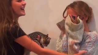 Beautiful kitten surprise restores girls belief in the power of dreaming  WooGlobe [upl. by Ecnedac689]