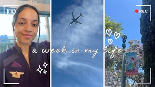 flight attendant wellness diaries  60 hour fasting amp prayer on call days amp San Diego layover 🌸 [upl. by Houghton751]