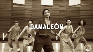 CAMALEON SALSATION®︎ Choreography by SMT Grace amp Kansai SEI TEAM [upl. by Rolfston]