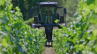 Nouveau TE6  Goûtez à lexcellence de ce tracteur enjambeur dédiée à la vigne étroite [upl. by Leimad]