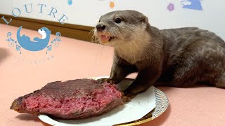 A Tiny Otter Takes on A Giant Meat Challenge [upl. by Yenittirb37]