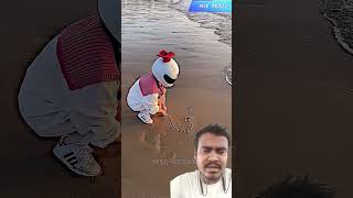 Nice ❤️💯🌹 beach love ytshorts shortsfeed shorts trending viralvideo youtubeshorts cute [upl. by Aneeres]