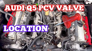 Explaining how I remove pcv valve in a 2010 Audi Q5 [upl. by Dorris]