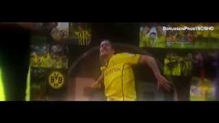 Robert Lewandowski  Time Of Your Life  Borussia Dortmund 201014  HD [upl. by Hgielram]