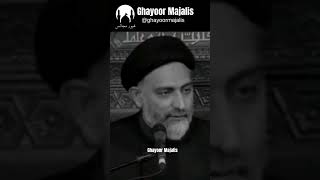 Allama Nusrat Abbas Bukhari 💯 unfrezzmyaccount allamanusratabbasbukhari nusratbukharishortclip [upl. by Eelac89]