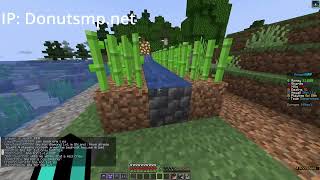 How to make a Sugar cane farm in the Donut SMP [upl. by Neiluj]