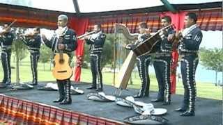 Morenita Mia  Mariachi Jalisciense Dallas Texas 4692222014 [upl. by Gaultiero270]