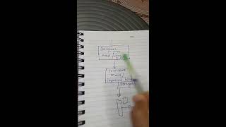 Pathophysiology 2nd sem osteoporosis disease and bone explain by anushree mem [upl. by Suiravaj]