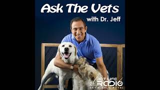 Ask the Vets  Episode 464 September 15 2024 [upl. by Storfer]