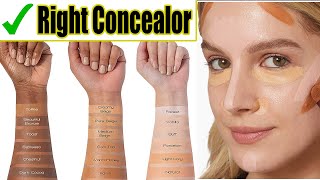 The BEST Concealers It Cosmetics Colorescience Maybelline LA Girl Becca Review for Dark Circles [upl. by Eleen577]