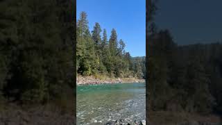 Video of Jedidiah Smith Campground — Redwood National Park CA from Bella H [upl. by Zoila]