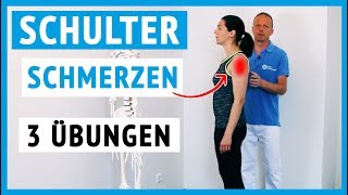 Schulterschmerzen  3 Übungen für zuhause einfach [upl. by Ariaz]