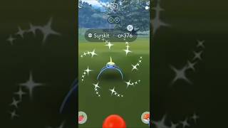 ✨Shiny Surskit 🦀crab pokémon shiny pokemon shinypokemon pokepro pokemongo [upl. by Noj692]