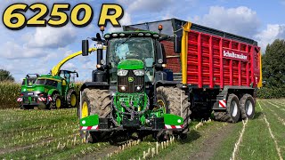 Let’s Drive John Deere 6250 R amp 9800i😱  Mais ballern💪  Bauer Struck in 4K UHD [upl. by Dorweiler309]