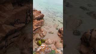 Cliff Top View Of Plage de Bot Conan Hent Lantecoste 29170 Fouesnant Finistère Brittany France [upl. by Nnyleimaj950]