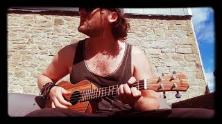 In the Summertime  Mungo Jerry Ukulele Cover by Dai C Thomas [upl. by Suellen287]