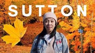 旅游Vlog 加拿大魁北克秋季最佳赏枫地—SUTTON小镇，好景好吃好玩好逛，一日游必打卡之地。 [upl. by Nahttam]