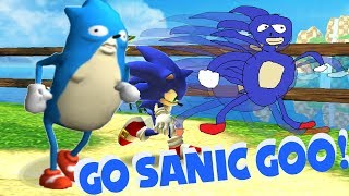 GO SANIC GOO [upl. by Essej]