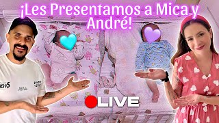 LES PRESENTAMOS A MICA Y ANDRÉ LaHoraArcoíris 19 [upl. by Mariko]