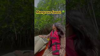 trip pondicherry mangroveforest reels shortvideos shorts [upl. by Burton873]