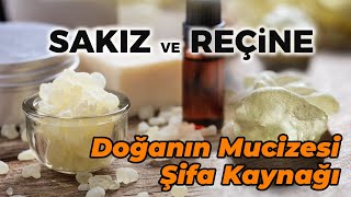 Sakız Ağacı ve Reçinesi Şifa Dolu Damla Sakızı [upl. by Siuqaj]