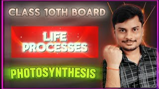 Life Process  Photosynthesis in Plants [upl. by Refinnaj]