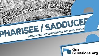 What are the differences between the Sadducees and Pharisees [upl. by Elwood]