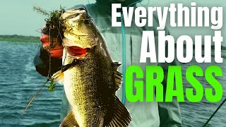 BASS Fishing GRASS  Milfoil Coontail Hydrilla amp Eelgrass Fishing The 1 COVER For Big Bass [upl. by Iilek]