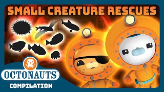 Octonauts  🐡 Small Creatures Rescues 🪸  3 Hours Full Episodes Marathon [upl. by Eikceb]