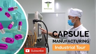 Capsules Manufacturing Process  Soft Gelatin Capsules [upl. by Marrin]