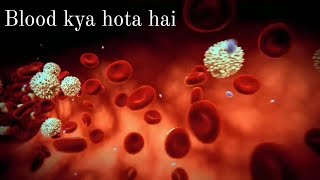 blood kya hai in hindi l all about white blood cells hindi l blood vessels blood circulatory system [upl. by Jeffery]