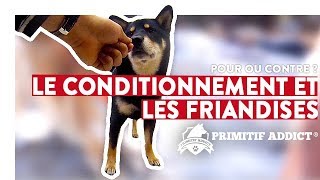 Pour ou contre les friandises et le conditionnement du chien [upl. by Neelram]