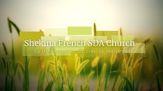 Shekina French SDA Church  Service du Sabbat  Youth Weekend  19 Octobre 2024 [upl. by Vassell]