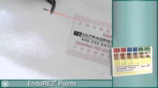 Root Canal Obturation using EndoEze EndoREZ from Ultradent [upl. by Moazami]