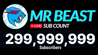 MrBeast HITS 300 MILLION Subscribers LIVE [upl. by Catton109]