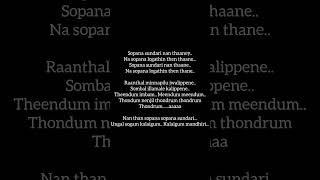 soppana sundari nan thane lyrics soppanasundari soppanasundari lyrics [upl. by Halludba]