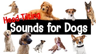 Sounds for Dogs  HeadTilting Sounds Your Dog Will Love [upl. by Whitson]