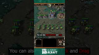 56 Replay amp Game Behavior Options amp Settings 📼🛠  Warcraft III Academy [upl. by Crispen369]