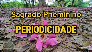 PERIODICIDADE [upl. by Heurlin]