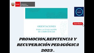 PROMOCION REPITENCIA Y RECUPERACIÓN PEDAGÓGICA 2023 [upl. by Eelarual]