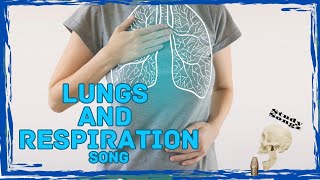 Lungs and Respiration  Study Songz  Lung Anatomy Song [upl. by Avehs]