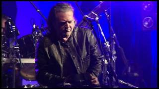 Horslips 2011 [upl. by Annoyek165]