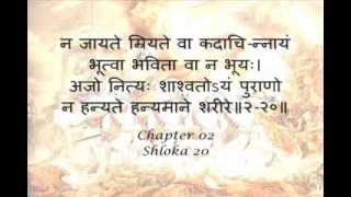 Bhagavad Gita Sanskrit recitation with Sanskrit text  Chapter 02 [upl. by Nosa452]